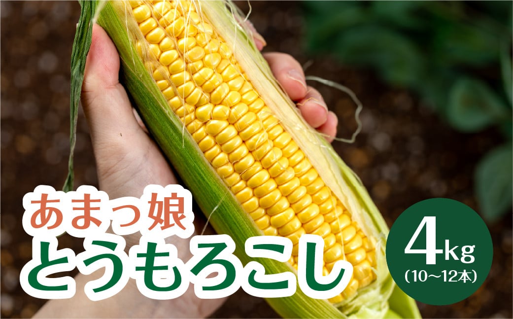 
            あまっ娘とうもろこし （10本～12本　4.0kg以上）
          