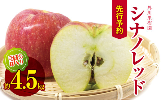 【2026年先行予約】訳あり シナノレッド 約4.5kg ｜ 外川果樹園 リンゴ りんご 林檎 果物 フルーツ 果実 果汁 シナノレッド しなのれっど わけあり 訳アリ 訳あり 長野県 松川村 信州