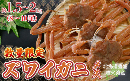【数量限定】北海道 豊浦 噴火湾 ズワイガニ メス 約1.5～2kg（8～10尾） TYUR040