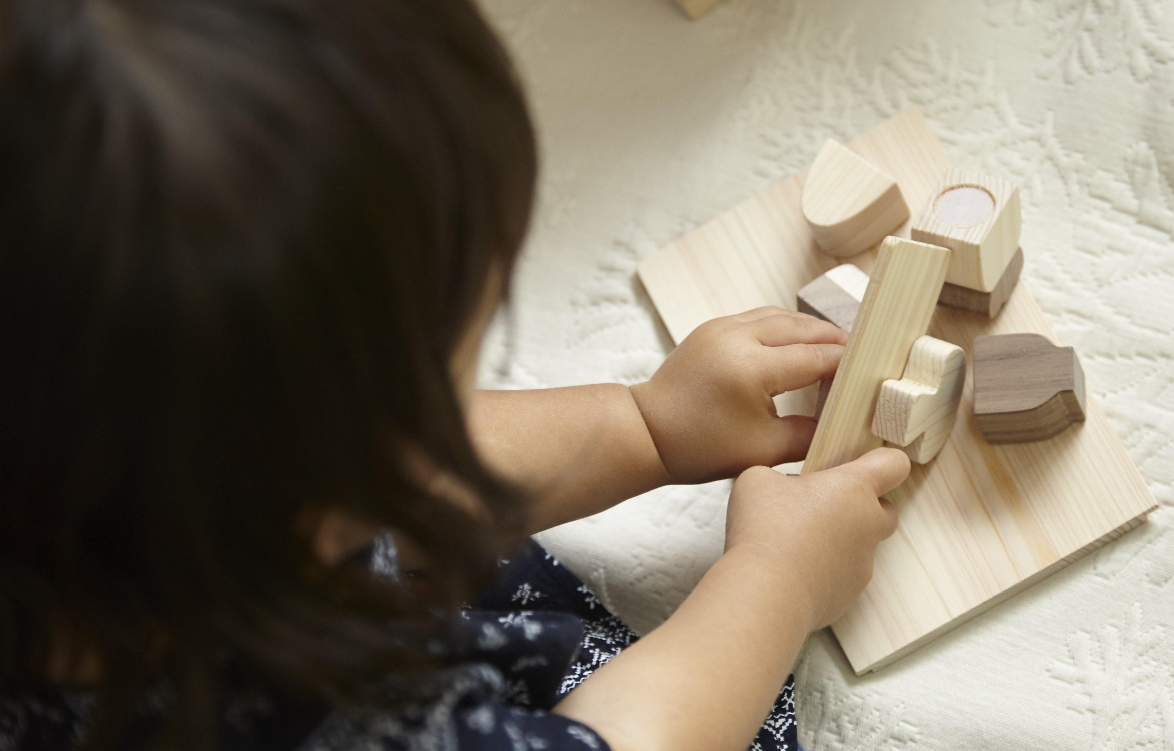 国産檜 おもちゃ IKONIH／アイコニー 食材セット