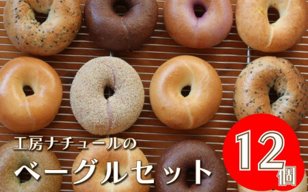 【数量限定・事前予約】『工房ナチュール』の天然酵母ベーグルセット 内容お任せ 12個 【1月発送分受付中！】
