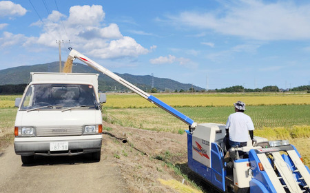 【定期便】令和7年産 市左衛門農場コシヒカリ10kg×3回 こしひかり