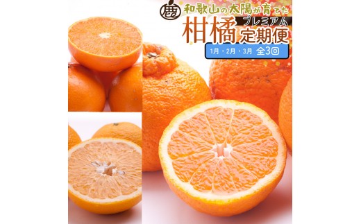 
            厳選 柑橘定期便M（1～3月）全3回 ［IKE295］
          