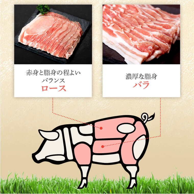 【B05042】鹿児島県産豚厚切りステーキ&しゃぶしゃぶ三昧セット〈約2.2kg〉_イメージ2