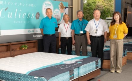 フランスベッド ティエル Tiers-02（脚付タイプ）セミダブル【ベッドフレームのみ】U-92