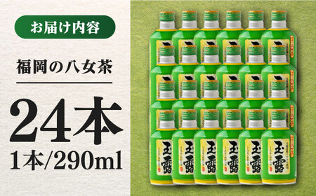 福岡の八女茶 玉露 ボトル缶 290g×24本 お茶 緑茶 八女茶 おちゃ 飲み物 ドリンク 飲料 福岡県産 広川町 / JAふくおか八女農産物直売所どろや[AFAB014]