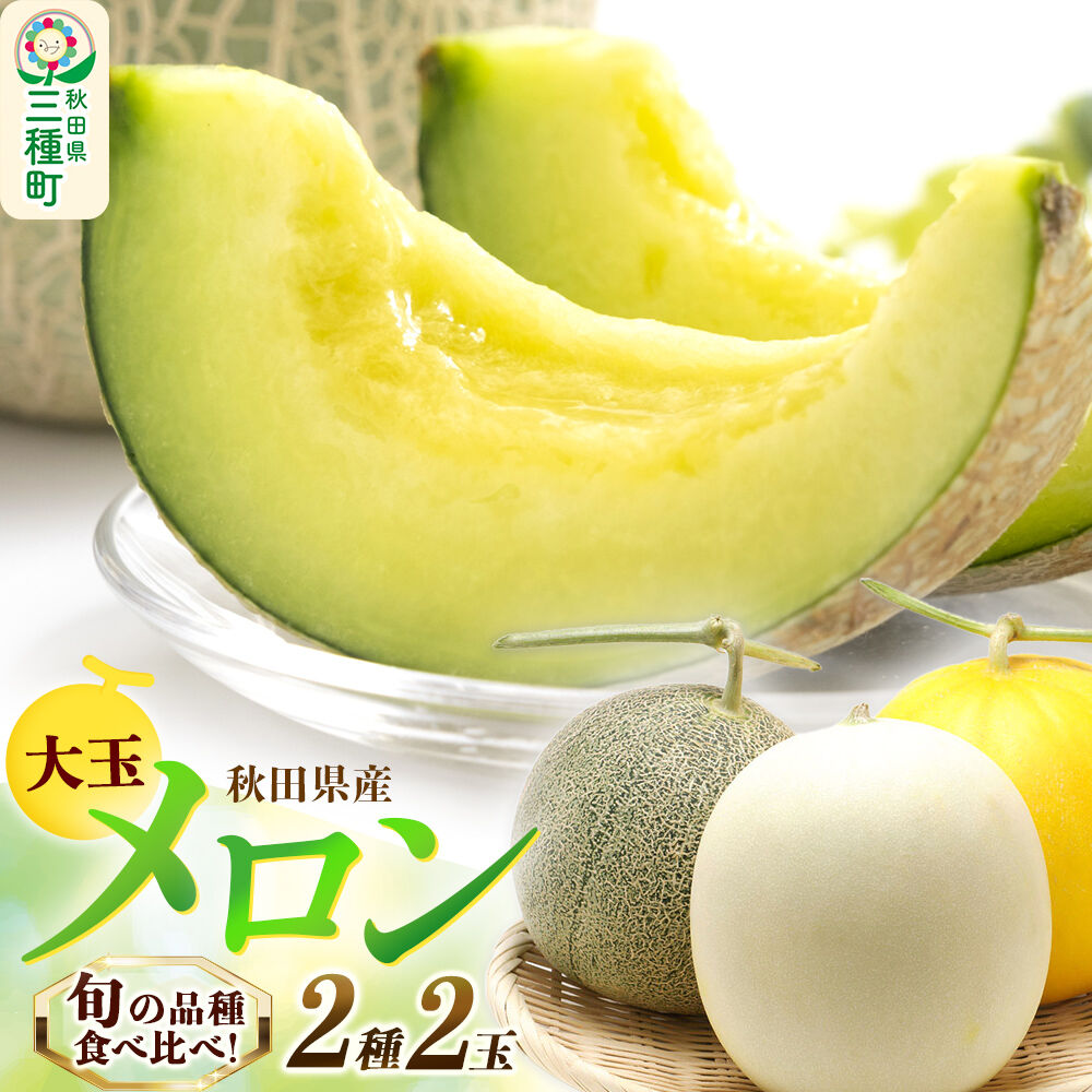 旬のメロン 大玉 2種類 2玉 果物 フルーツ 秋田県産 [メロン 果物 フルーツ 旬 獲りたて 甘い]