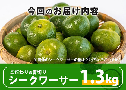 《2025年7月以降順次発送》【先行予約】こだわりの青切りシークワーサー 1.3kg 約40〜60個 【 産地直送 沖縄 石垣島 石垣 八重山 シークワーサー 柑橘 フルーツ くだもの 果物 】TF-