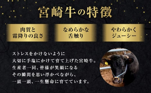 宮崎牛 切り落とし 霜降り ＆ 赤身 焼肉セット 700g カルビ モモ ウデ 赤身 国産牛 牛肉 お肉 冷凍 焼肉 焼き肉 BBQ バーベキュー 鉄板 ホットプレート ギフト 贈答用 贈り物 特別な