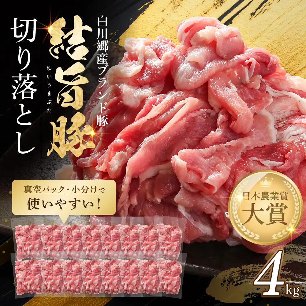 豚肉  250g×16p 計4kg 結旨豚 ウデ又はモモ 切り落とし 豚肉 小分け
