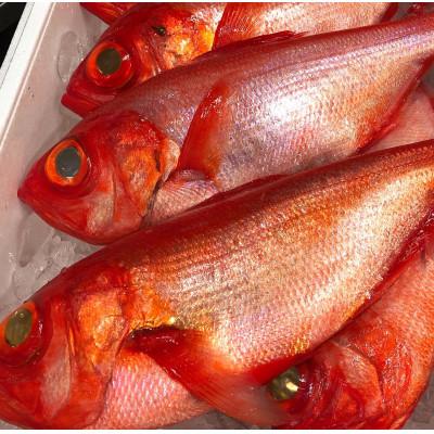 ふるさと納税 小田原市 生から湯煎で仕上げる、金目鯛の煮付け 【1本物】【稲取産 地金目使用】【神奈川県小田原市早川】 |  | 01