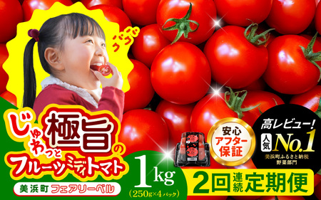 定期便 ≪2ヶ月連続お届け≫ フルーツミディトマト 約1kg × 2回 トマト 野菜 [m37-a026]