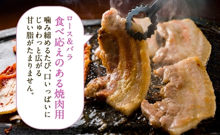 豚肉セット 焼肉用 豚ロース 豚バラ 岐阜県産 豚肉セット【1kg(各500g)】