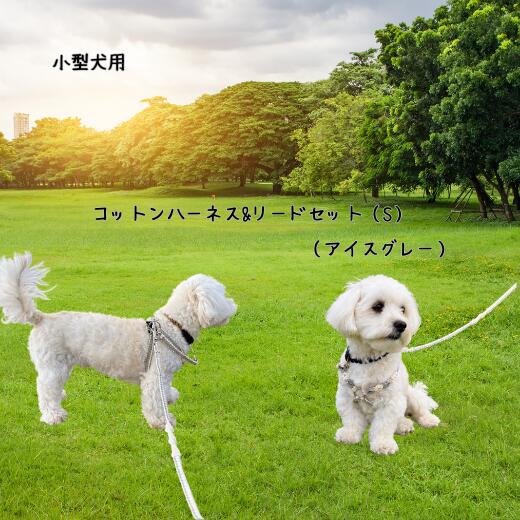 【ふるさと納税】8-035-005　小型犬用 コットンハーネス（Sサイズ）&リードセット（アイスグレー）　お届け：入金後、1ヶ月内