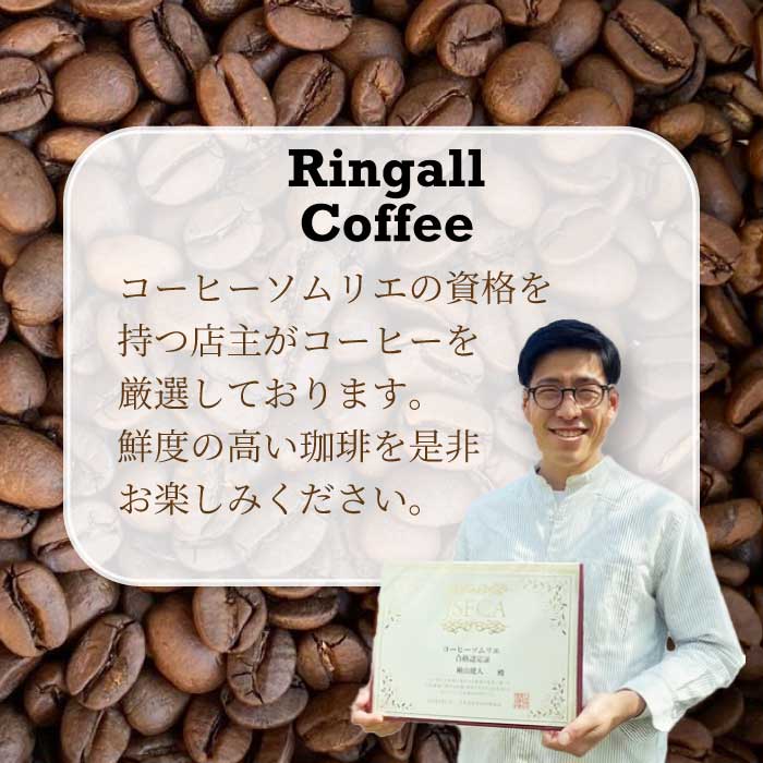 アイスコーヒー★夏季限定★【自家焙煎】水出しコーヒーバッグ1袋(4個入り)とお試しドリップバッグ4袋  珈琲 ブレンド  パック  飲料  ドリンク  194009