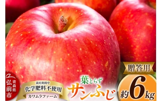 りんご【先行受付】葉とらず サンふじ 約6kg カワムラファーム 贈答用