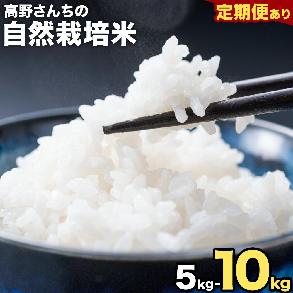 【ふるさと納税】定期便あり 令和7年産 高野さんちの自然栽培米 白米 選べる 内容量 5kg 10kg 定期便 3ヶ月 6ヶ月 12ヶ月 株式会社有機農場《30日以内に出荷予定(土日祝除く)》熊本県 菊池市 米 お米 精米 ヒノヒカリ ひのひかり 自然栽培米 七城物語 熊本県産 真空パック