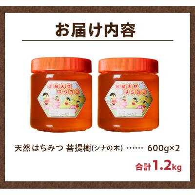 ふるさと納税 滝川市 【北海道滝川産】高見養蜂場の純粋はちみつ(菩提樹、シナの木600g×2本) 国産 天然 無添加 蜂蜜 |  | 02