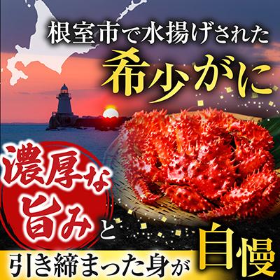 ふるさと納税 根室市 【北海道根室産】ボイル花咲がに2尾(計約700g) G-42010 |  | 01