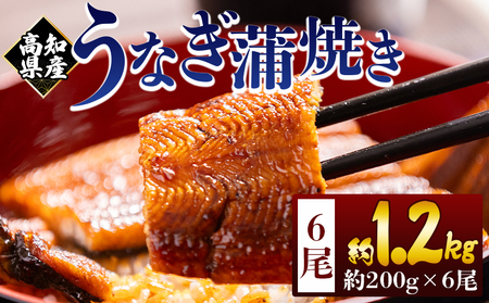 高知県産蒲焼きうなぎ ２００ｇ ６尾 計１２００ｇ fb-0163