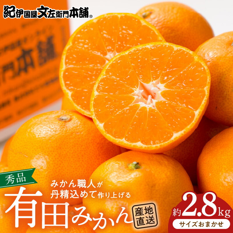 【ふるさと納税】ブランド有田みかん 秀品 約2.8kg【サイズおまかせ】／産地直送／薄皮で甘い美味しい和歌山県産／紀伊国屋文左衛門本舗