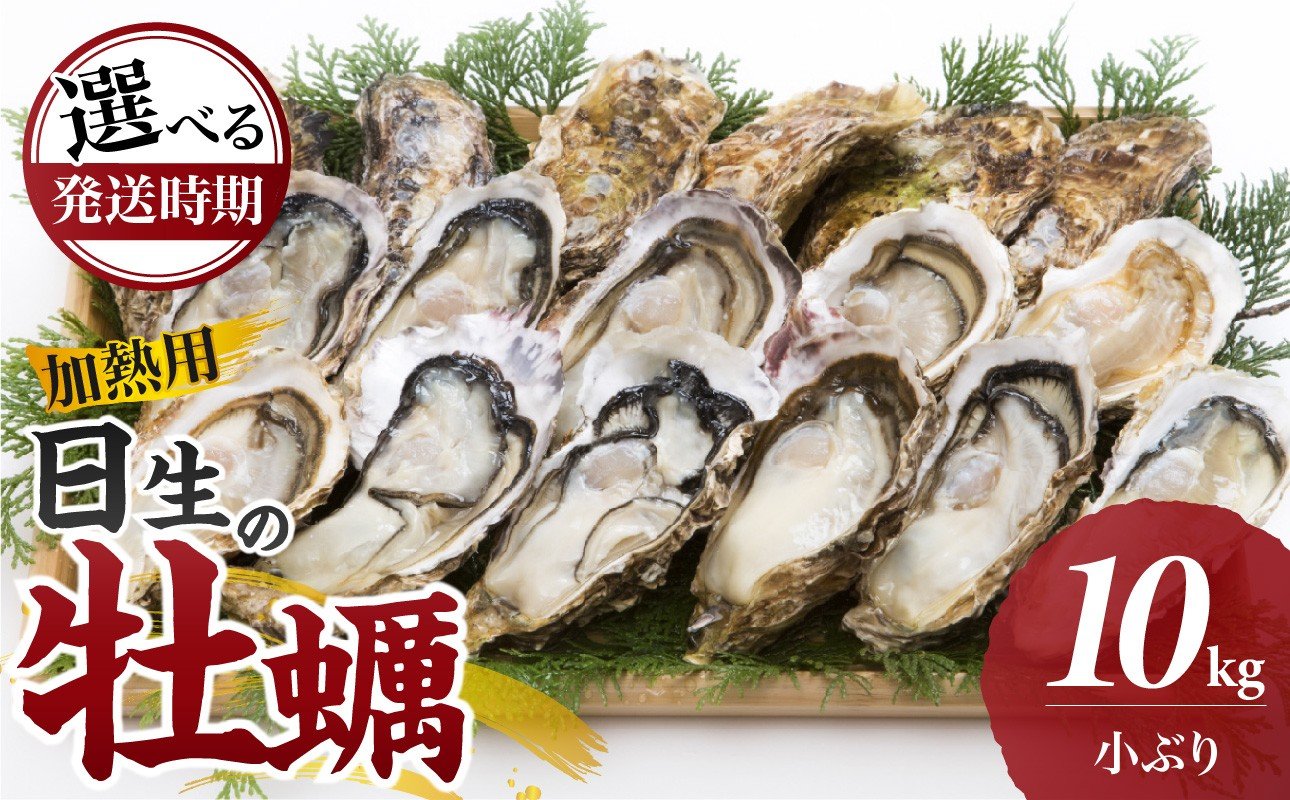 
            ＜先行受付スタート＞《★選べる発送時期★》日生 牡蠣（小ぶり）10kg 《2025年11月下旬～2026年4月中旬発送》（発泡スチロールにてお届け！）【生鮮 牡蠣 10kg 日生産 ひなせ カキ かき 海のミルク 加熱用 小ぶり】
          