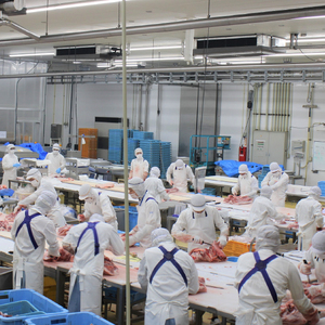 【工場直送】九州産 豚バラ スライス 8kg（ 国産 豚 豚肉 豚バラ しゃぶしゃぶ 小分け バラ 大容量 冷凍 ）