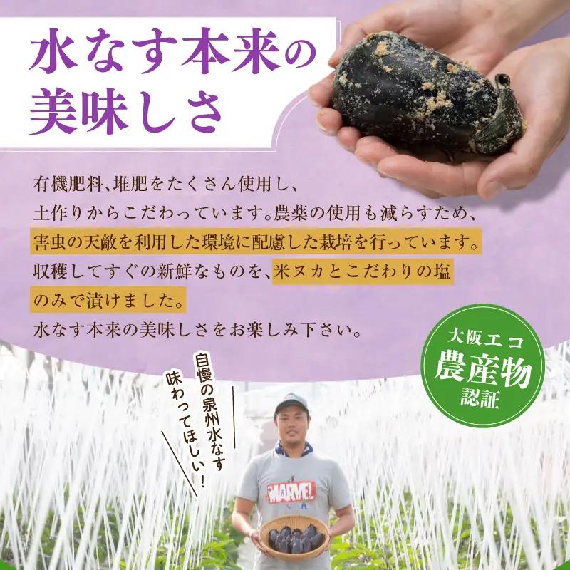 特選 無添加 水なす漬け 徳用水ナス セット