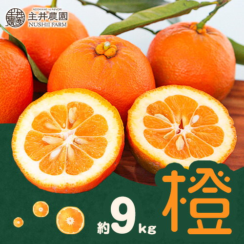 【ふるさと納税】【先行予約】みかん だいだい 主井農園の 橙 9Kg 主井農園《12月中旬-2月上旬頃出荷》 和歌山県 日高町 みかん 柑橘 贈り物 おくりもの プレゼント ギフト 記念日 送料無料 お正月
