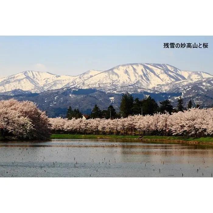 【新潟県】JTBふるさと旅行券（90,000円分）有効期間5年 | 予約 宿泊 観光 体験 温泉 ホテル 旅館 チケット 子供 子連れ カップル 家族 店頭 電話 新潟