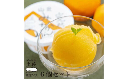 Made in 土佐 高知アイス 完熟山北みかんシャーベット6個 ミカン 完熟みかん 【グレイジア株式会社】 [ATAC383]