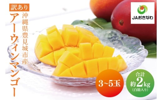 【2026年6月より順次発送】【訳あり】菜々色畑のアーウィンマンゴー 3～5玉(約2kg)【白箱】 ご家庭用｜マンゴー アーウィンマンゴー アーウィン フルーツ 果物 くだもの おきなわマンゴー おきなわ 沖縄県 豊見城市 家庭用(AE011)