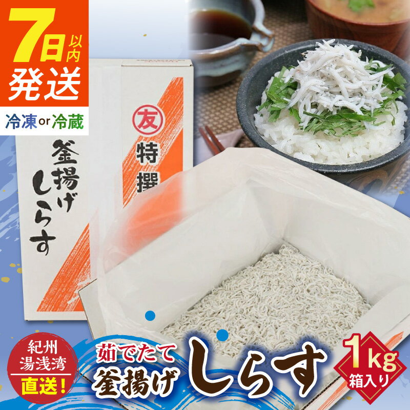 【ふるさと納税】【限定】 《7日以内発送》 高評価★4.91 釜揚げしらす 1kg 箱入り 選べる 配送方法 冷凍 冷蔵 県優良県産品 認定 紀州湯浅湾 直送 茹でたて 新鮮 釜揚げ しらす 踊り炊き 旨み ぷりぷり しらす丼 無着色 国産 海の幸 海鮮 魚介 和歌山県 湯浅町 送料無料