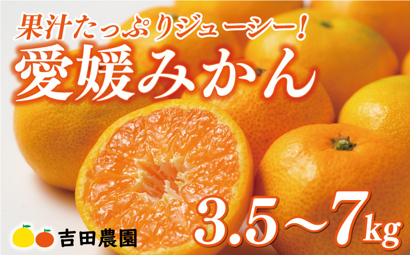 
            選べる内容量 3.5kg ～ 7kg 先行予約 訳あり 贈答用 愛媛みかん 3.5kg 5kg 7kg 7000円 8000円 10000円 愛媛 みかん 温州みかん こたつ みかん mikan 蜜柑 ミカン 家庭用 産地直送 国産 農家直送 糖度 期間限定 数量限定 特産品 ゼリー ジュース アイス 人気 限定 甘い フルーツ 果物 柑橘 美味しい おいしい お歳暮 愛南町 愛媛県 吉田農園
          