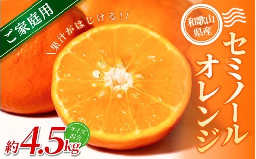 【家庭用】 森本農園の手選別 セミノールオレンジ 約4.5kg 和歌山県産 サイズ混合 【2026年4月中旬～6月上旬頃に順次発送】【RN27】【mrmt027】