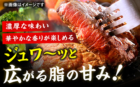 【全5回定期便】博多和牛 サーロイン ステーキ 200g×2枚 広川町 / 久田精肉店株式会社[AFBV004]