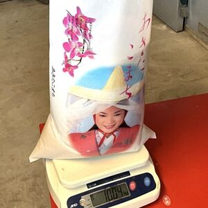 【令和7年産】青森県産あきたこまち 精米　10kg【配送不可地域：離島・沖縄県】【1678887】