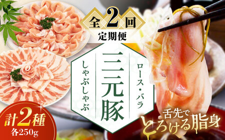 【全2回定期便】三元豚 しゃぶしゃぶセット 計500g（ロース・バラ） だし・昆布ナシ 《喜茂別町》【平田牧場】 肉 豚肉 ロース バラ ロース肉 バラ肉 しゃぶしゃぶ 鍋 お鍋 冷凍配送[AJAP078]