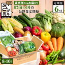 【ふるさと納税】【定期便】【野菜ソムリエ選定】肥前の国 野菜 定期便 6回 8~12品目 定番野菜を中心にお届け | ふるさと納税 野菜 定期便 定期 やさい 野菜 フルーツ 果物 セット 詰め合わせ 旬 新鮮 産地直送 大容量 ふるさと 佐賀県 鹿島市 人気 送料無料 F-20