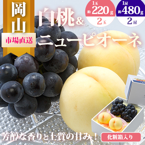 【2027年先行予約】詰合 白桃 1玉220g以上 2玉・ニューピオーネ 1房480g以上 2房 化粧箱入り 株式会社山博(中本青果)《2027年7月下旬-8中旬頃出荷》岡山県 浅口市 ぶどう フルーツ ギフト 贈答用 旬 果物 国産 岡山県産 送料無料 【配送不可地域あり】