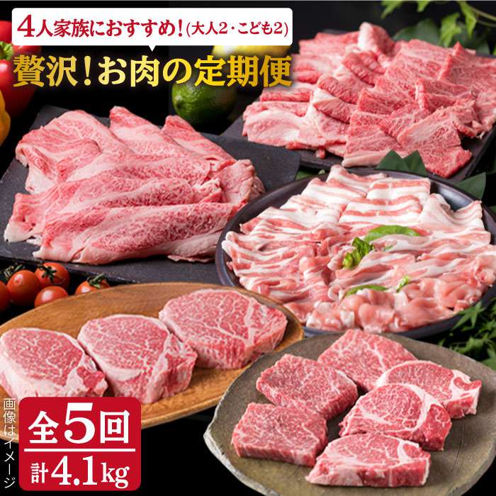 【ふるさと納税】【全5回定期便】贅沢！お肉の定期便 4人前 A4ランク 糸島黒毛和牛 糸島華豚 博多地どり セット (シャトーブリアン/牛ロース/牛ランプ/豚バラ/鶏むね) 計4.1kg 《糸島》【糸島ミートデリ工房】 [ACA083] 264000円 200000円 20万