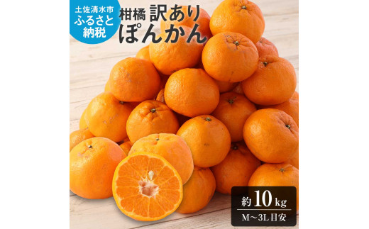【令和９年１月下旬】【訳あり】ぽんかん10kg（谷川果樹園）デコポンの親  みかん 蜜柑 ミカン 不知火 しらぬい 柑橘 かんきつ ポンカン フルーツ オレンジ 果物 くだもの 果汁 甘い【R01601】