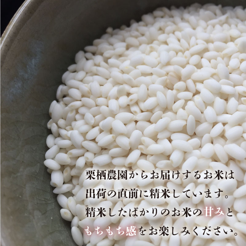 定期便 3回 米 コシヒカリ 5kg 令和8年産 米 こめ ご飯 ごはん おにぎり 白米 精米 卵かけご飯 食品 ギフト 贈答 プレゼント お取り寄せ グルメ 送料無料 徳島県 阿波市 栗栖農園