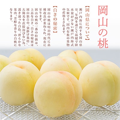 【2025年発送】岡山県産　詰合せ/白桃とニューピオーネ　化粧箱入り【配送不可地域：離島・北海道・沖縄県】