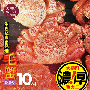 【令和9年発送】【訳あり】活毛ガニ 10kg【08】【2027年2月～4月発送】天然 国産 冷蔵 三陸直送 濃厚 かに 蟹 カニ 毛ガニ 毛蟹 毛がに 毛かに 毛カニ ガニ 活かに 活蟹 活カニ かにみそ 贅沢 海鮮 魚介 ジャンボ カニ味噌 かに カニミソ 贅沢 活