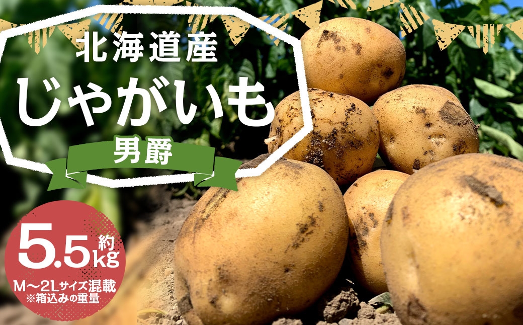 
                  〈 ふるさとチョイス限定 〉 北海道産じゃがいも ( 男爵 ) 約5.5kg 山田農場 じゃがいも ジャガイモ いも イモ 芋 男爵いも 野菜 やさい 国産 北海道産 生産者直送 コロッケ ポテトサラダ ふかし芋 【 2026年9月下旬-2027年1月上旬迄発送予定 】
                