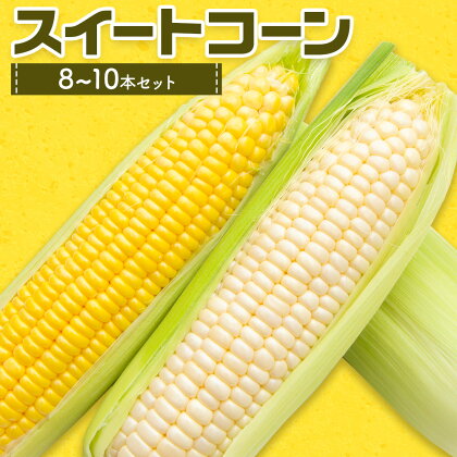 スイートコーンセット 8-10本【養生市場】 コーン とうもろこし 品種おまかせ ランダム 野菜 九州産 熊本県産 送料無料《5月上旬-6月末頃出荷》---003-1576---