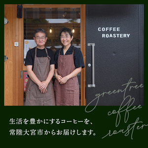 ドリップパック 20個入り スペシャリティコーヒー コーヒー ドリップ ドリップパック 飲み比べ ドリップコーヒー 茨城県 常陸大宮 【green tree coffee roaster】【ho155