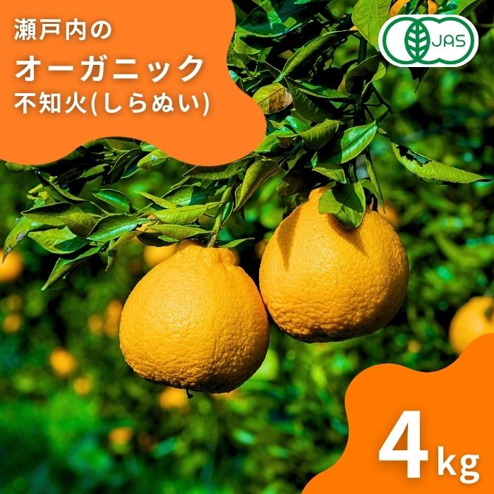 【ふるさと納税】国産 オーガニック 不知火(しらぬい) 約3kg (2月発送) 瀬戸内 広島 大崎上島 離島 有機JAS認証 有機栽培 安心 安全 オーガニック フルーツ 柑橘 デコポン 濃厚 果物 ギフト 送料無料 産地直送 中原観光農園