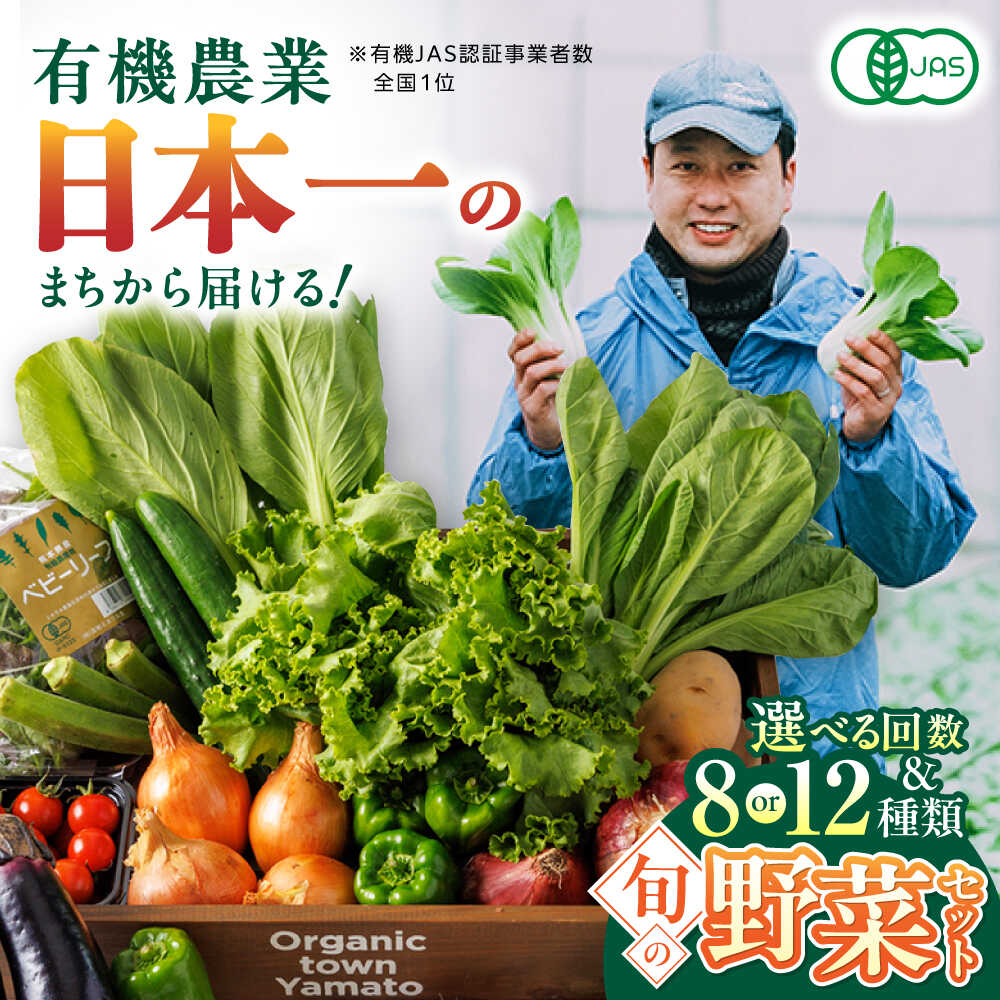 【ふるさと納税】【選べる容量＆回数＆お届け間隔！】有機野菜 オーガニック 8種 or 12種 野菜セット 野菜 有機JAS認定 詰め合わせ オーガニック野菜 熊本県産 産地直送 熊本直送 【株式会社 肥後やまと】[YAF001]
